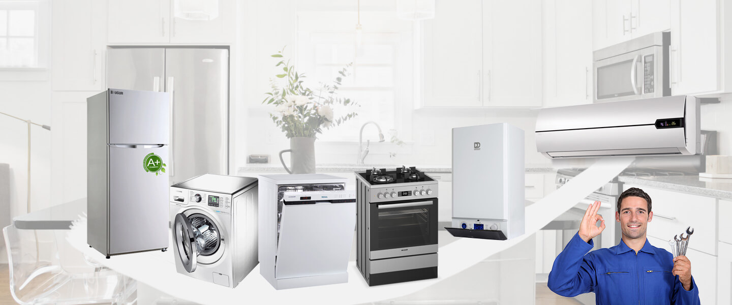 Çayırlı Silverline Servisi